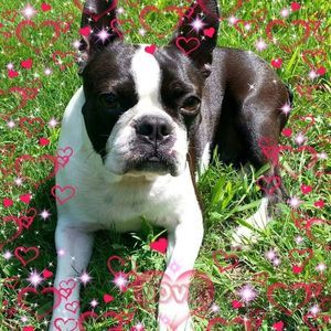 Meet your Posher, Cherry